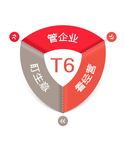 畅捷通T6 畅捷通T6